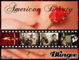 American Beauty