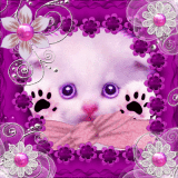 theCat27