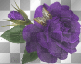 anime flower