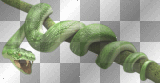 Green Snake On Branch =^-^=