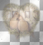 2 Love Doves =^-^= 2 Love Doves =^-^=