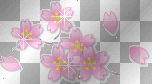 pink flowers