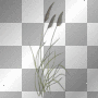 Grass    by karen0428