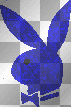 Blue Playboy