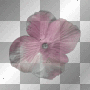 Pink Scrapland Flower by karen0428 Pink Scrapland Flower by karen0428