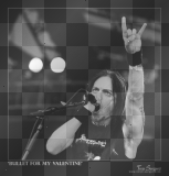 Matt Tuck - BFMV