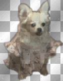 my angel (bb)