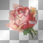 Rose Vintage Boutique