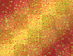 Orange Background