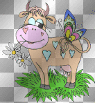 butterfly on cow