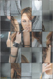 MILEY - FLY ON THE WALL PUZZLE