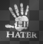 Hi Hater!