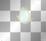 magic flower