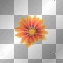 orange flower decor orange flower decor