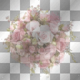 Roses Pink