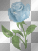 glitter rose