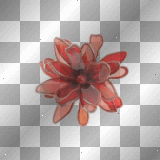 anime red flower summer deco