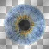 anime blue brown eye decor