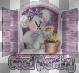 good morning
