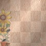 BG Flowers
