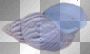 ©Shell® ©Shell®