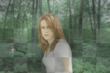 twilight