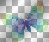 transparent butterfly invisible