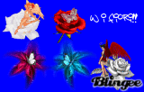 W i fiori!
