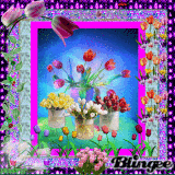 Tulip Frenzy