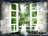 my window 2