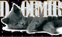 dormir