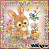 spring rabbit