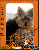 MY TIGGER