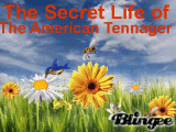 the secret life of the american tennager the secret life of the american tennager