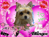 Princess Foxi