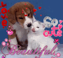 cane&gatto