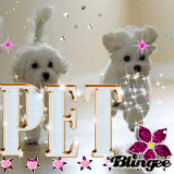 Pet Lovers!!!