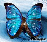 papillon