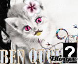 lol le chat