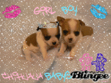 GIRL+BOY