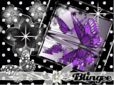 Butterfly in Black,anuschkatim