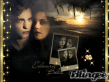 edward e bella