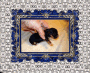 PUZZLED PUPPY 2 TINK PUZZLED PUPPY 2 TINK
