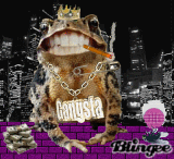 Gangsta - Frosch