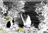 ~ Lake Side ~    SBW1
