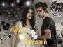 EdwarD & BelLa*·*·*· EdwarD & BelLa*·*·*·