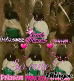 Paris The Little Princess