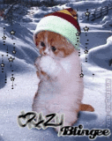brrrrrr koud
