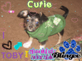 toby
