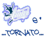 *Amici* di maria de filippi